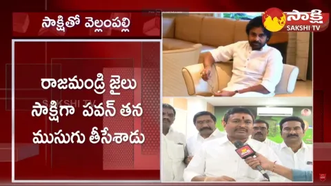 Vellampalli Srinivas about Pawan Kalyan Comments