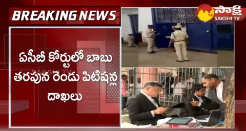 Interim Bail Petition Filed By Chandrababu