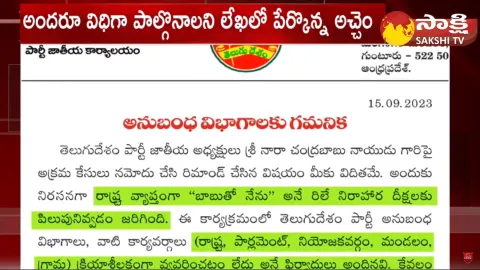 Atchannaidu Comments On TDP Cadre