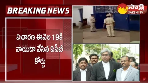 Chandrababu Bail Petition in ACB Court