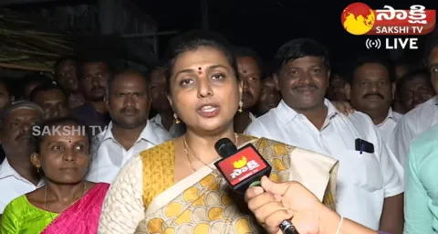 Minister Roja Shocking Comments On Nagababu And Nadendla Manohar