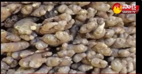 Success Story of Ginger Cultivation 