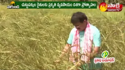Retired Employee Success Story in Paddy Cultivation