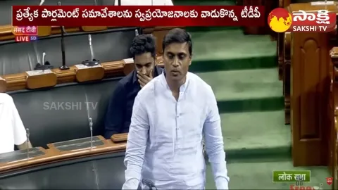 MP Mithun Reddy Strong Counter To TDP MP Galla Jayadev Over Chandrababu Arrest In Lok Sabha