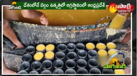 Anakapalli Bellam : Jaggery Preparation