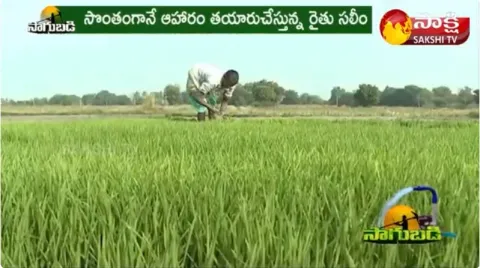 Anantapur District Onion Farmers Success Story