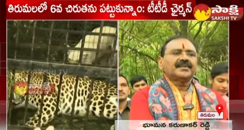 TTD Chairman Bhumana Karunakar Reddy About Leopard Trapped In Cage 