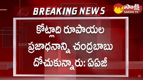 Chandrababu CID Custody Petition AAG Ponnavolu Sudhakar Reddy