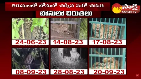 Operation Chirutha in Tirumala