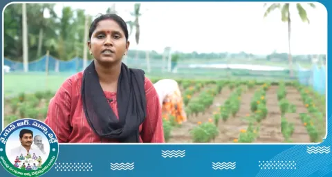 AP Womens Happy On YSR Sunna Vaddi Scheme
