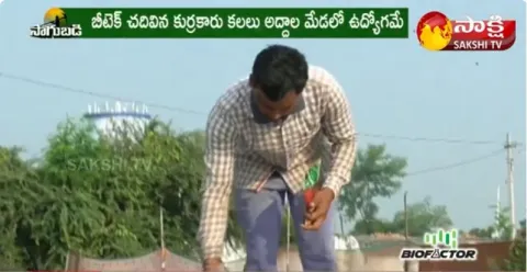 Integrated Agriculture | Software Employee Success Story