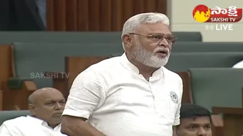 Minister Ambati Rambabu Comments On Kotamreddy Sridhar Reddy