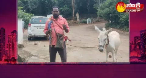 Garam Garam Varthalu Huge Demand For Donkey Milk 