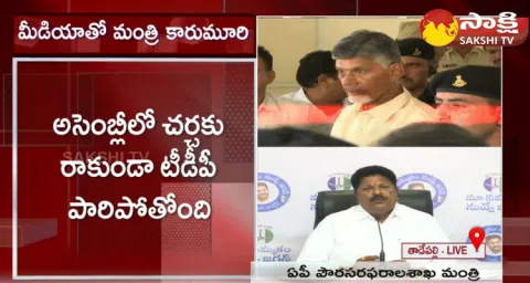 Minister Karumuri Nageswara Rao Satires On Chandrababu Scams