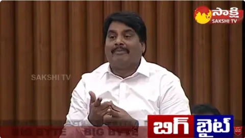 MLA Biyyapu Madhusudhan Reddy Super Counter to Balakrishna