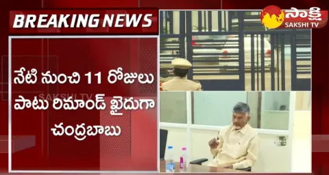 TDP Chief Chandrababu Into CID Custody 
