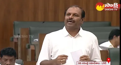 MLA Gadikota Srikanth Reddy Speech On AP Revenue Department