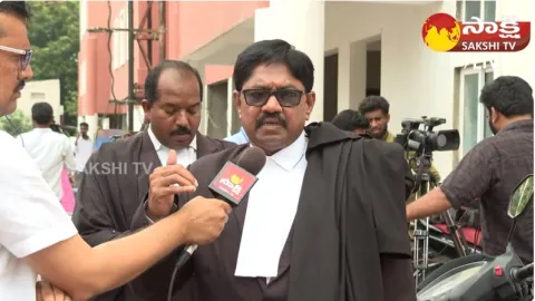 Advocate Basava Reddy About Chandrababu Custody Petition