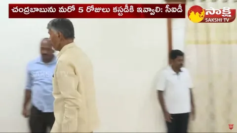 Chandrababu CID Custody and Bail Petition On Skill Development Scam