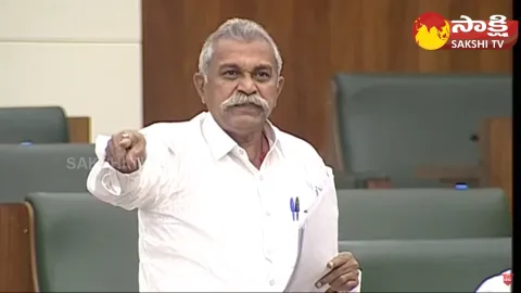 MLA Manugunta Maheedhar Reddy About AP Comprehensive Land Survey
