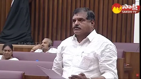 Minister Botsa Satyanarayana Answers to MLCs in Council Meeting