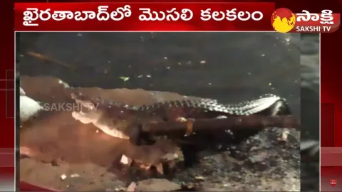 Crocodile Hulchal At Khairatabad