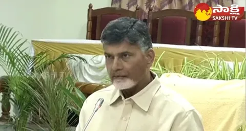 TDP Chief Chandrababu Naidu Family Assets 
