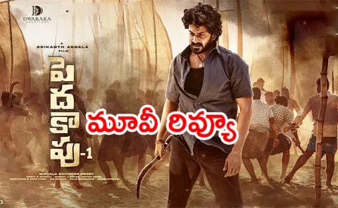 Peddha Kapu 1 Movie review And Rating In Telugu - Sakshi