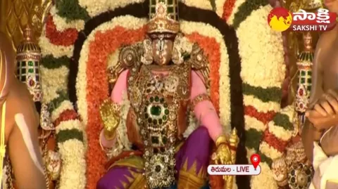 Tirumala Brahmotsavam : Pedda Sesha Vahanam