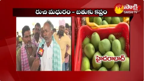 Mango Farmers Facing Problems Over Low Cost In Hyderabad Market