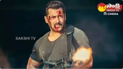 Shahrukh Khan Powerful Cameo Role In Salman Khans Tiger 3