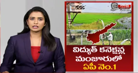 Andhra Pradesh Top In Electricity Connections