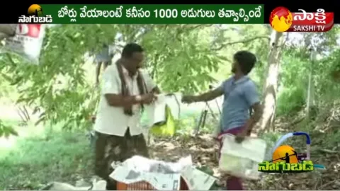 Success Story of Alla Neredu or Jamun Farming 