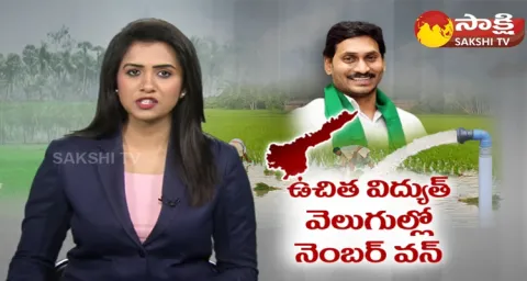 AP Top In Agriculture Power Connections 