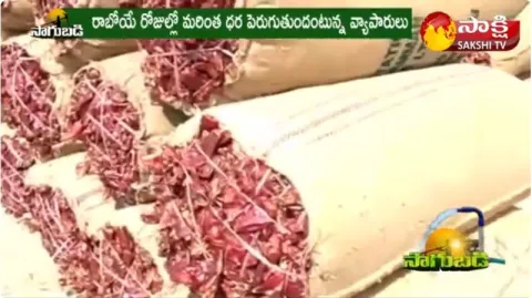Mirchi Price Get All Time Record at Warangal
