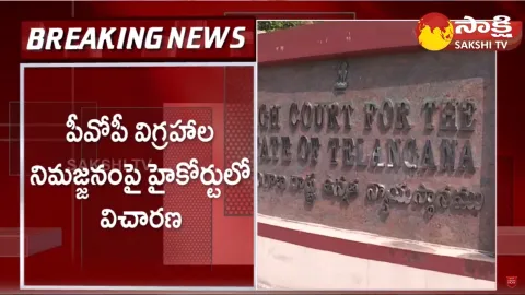 Telangana High Court Hearing On POP Ganesh Idols