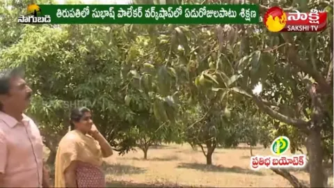 Success Story Of Mango Farming Of Jagadish Reddy