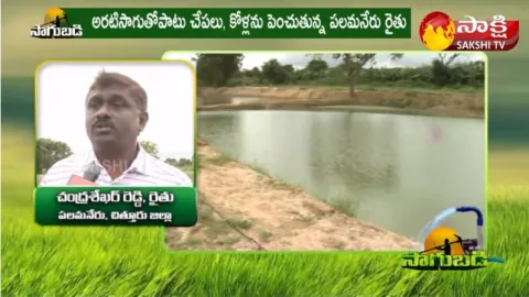  Fish Farmer Chandrasekhar Reddy Success Story