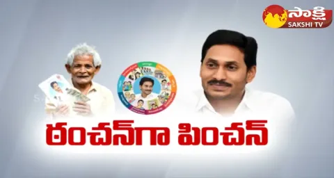 Pension Distribution By Village Volunteers All Over AP