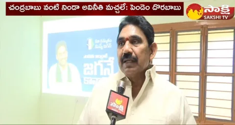 Pithapuram MLA Pendem Dorababu Comments On TDP Motha Mogiddam 