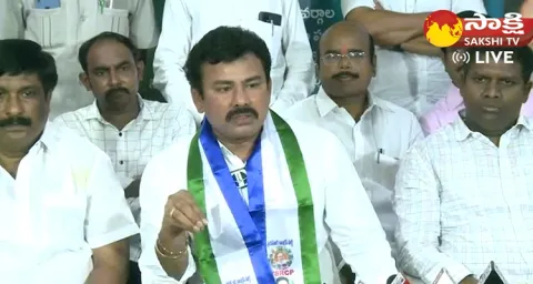 YSRCP Leader KK Raju Fires On Pawan Kalyan And Raghu Rama Krishna Raju
