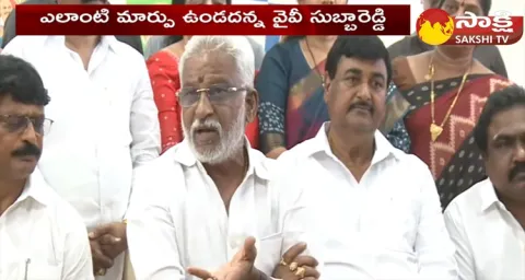 YV Subba Reddy About Visakhapatnam As Administrative Capital 