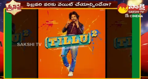 Siddu Jonnalagadda Confused On DJ Tillu 2 Release
