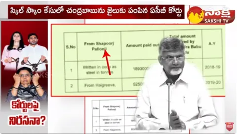 Chandrababu Family Allegations on Court
