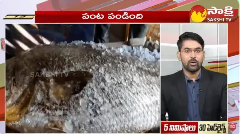 Sakshi Speed News Top 30 Headlines 17-10-2023 @ 01:00 PM 