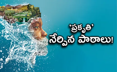 Importance Of Natural Farming And Agriculture Methods - Sakshi