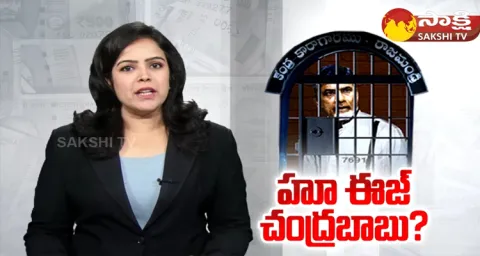 Chandrababu Comments On Governor 