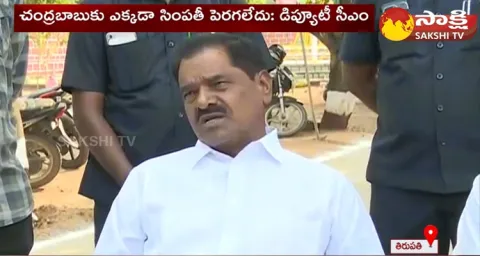 AP Deputy CM Narayana Swamy About Chandrababu Corruption