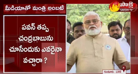 Minister Ambati Rambabu Satires On Pawan Kalyan And Nara Lokesh