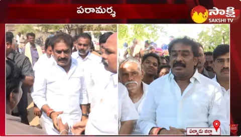 MLA Pinnelli Ramakrishna Reddy On Kunireddy Krishna Reddy Incident 